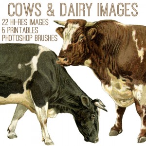 Cows and Dairy Kit
