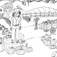 scarecrow in pumpkin patch line art