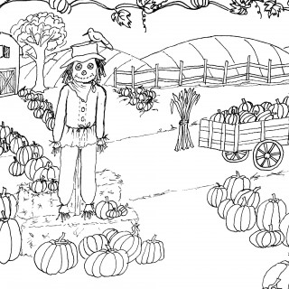 scarecrow in pumpkin patch line art