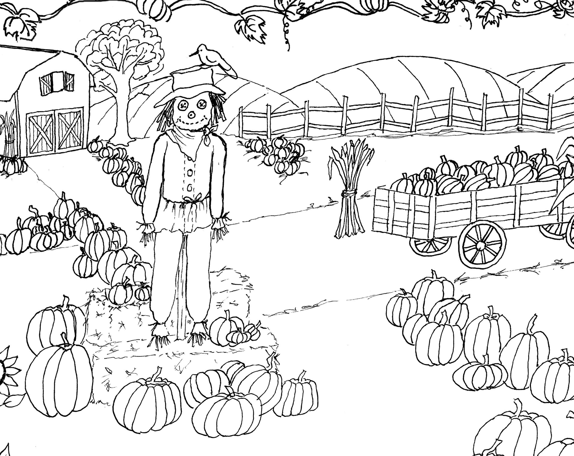 Pumpkin Patch Coloring Page Printable! The Graphics Fairy