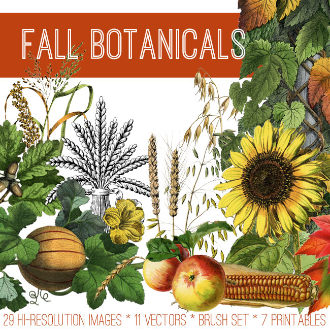 Fall Botanicals Image Kit