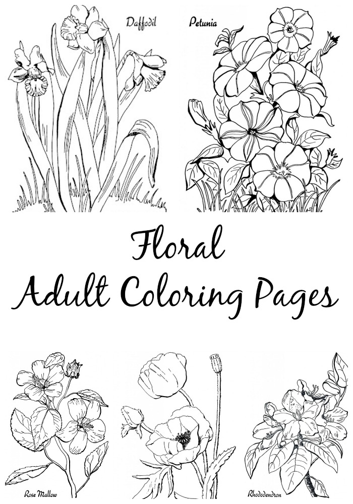 Download 10 Floral Adult Coloring Pages! - The Graphics Fairy