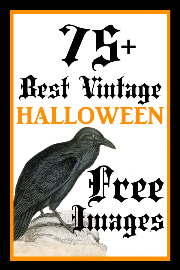 75+ Best Free Vintage Halloween Images! - The Graphics Fairy
