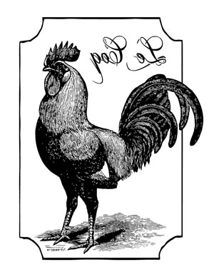 french_rooster_transfer_rev_graphicsfairy