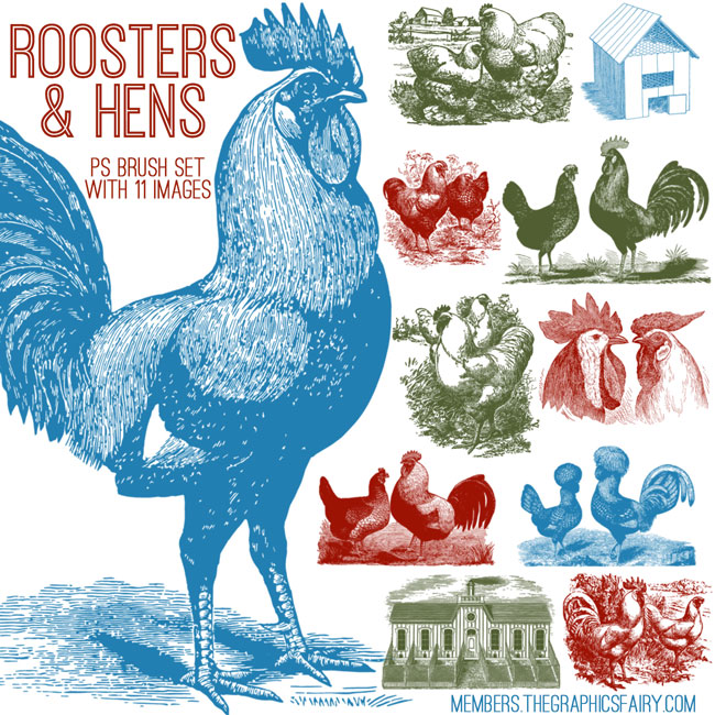 Roosters and Hens Photoshop Brush Set