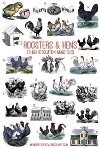 Roosters and Hens Image Kit - TGF Premium! - The Graphics Fairy