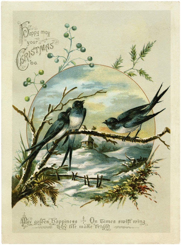 Antique Christmas Birds Image