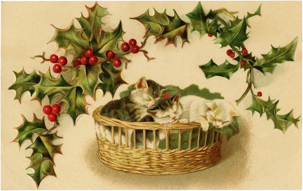 Christmas Kittens Download