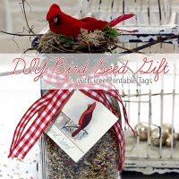 DIY Bird Seed Gift in Jar Craft with Bird and Nest