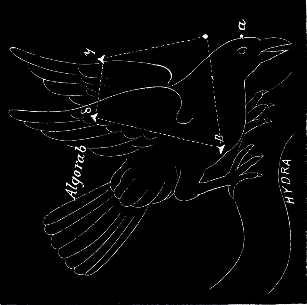 Vintage Astronomy Corvus Image