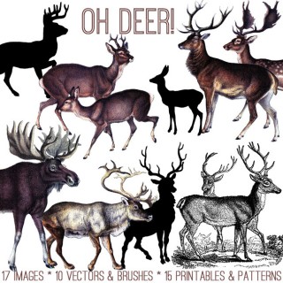 Oh Deer Kit