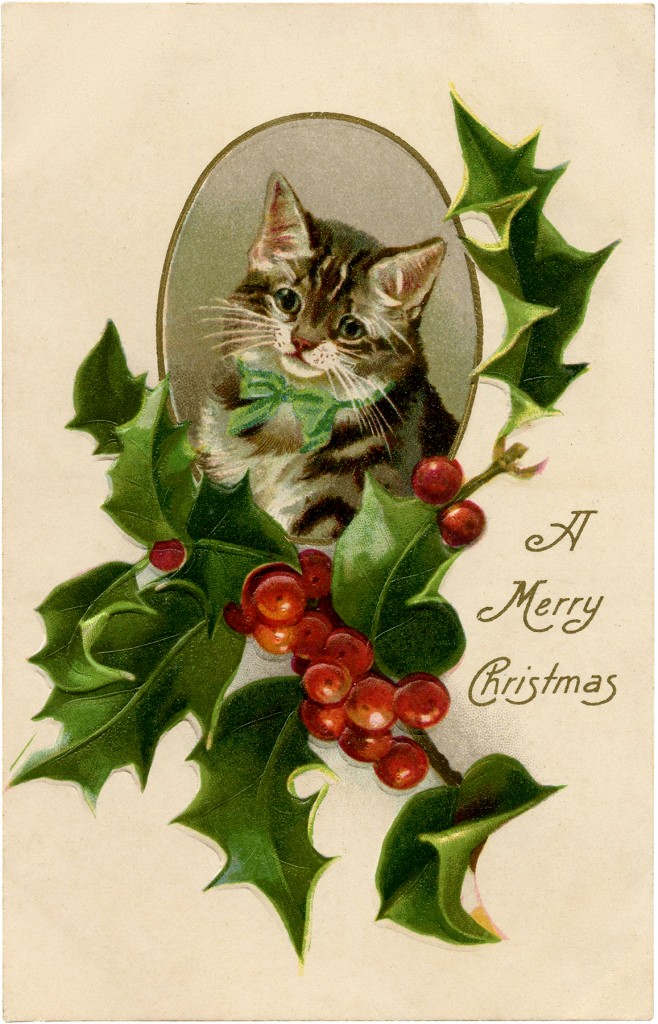 Christmas Holly Cat Image