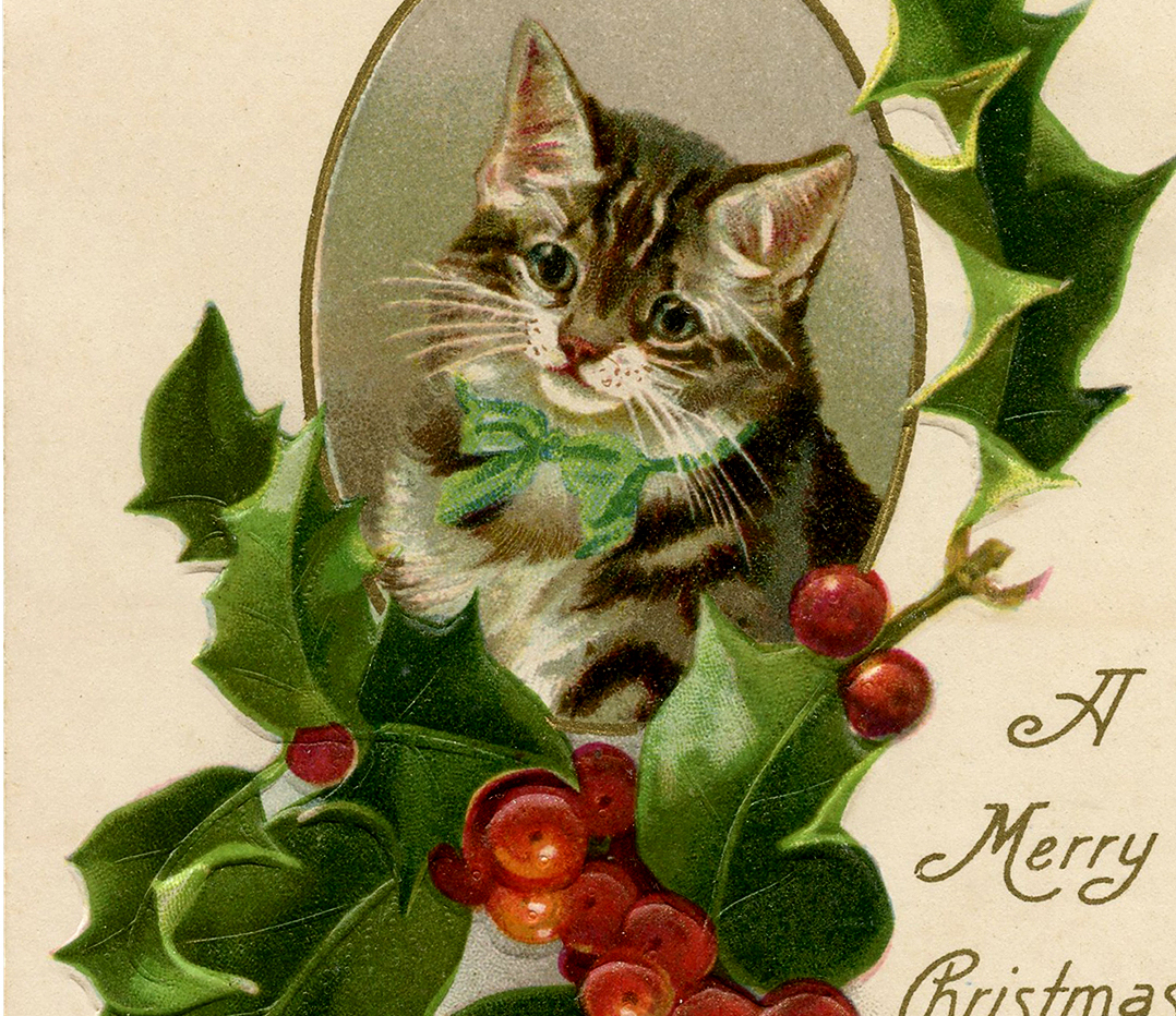 Christmas Holly Cat Image! - The Graphics Fairy