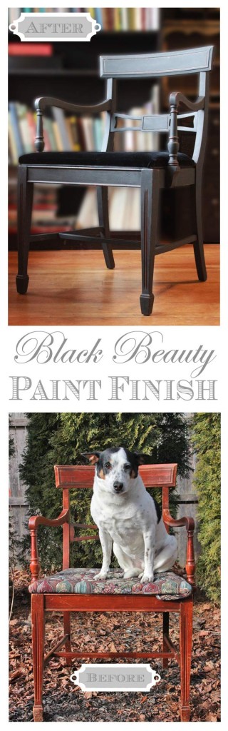 Classic Black Beauty Paint Finish 