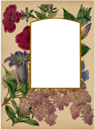 album-frame_bouquet_graphicsfairy