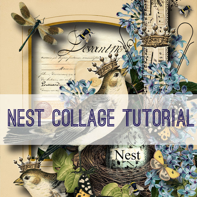 Nest collage