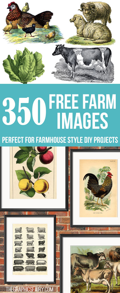 Free Farm Images