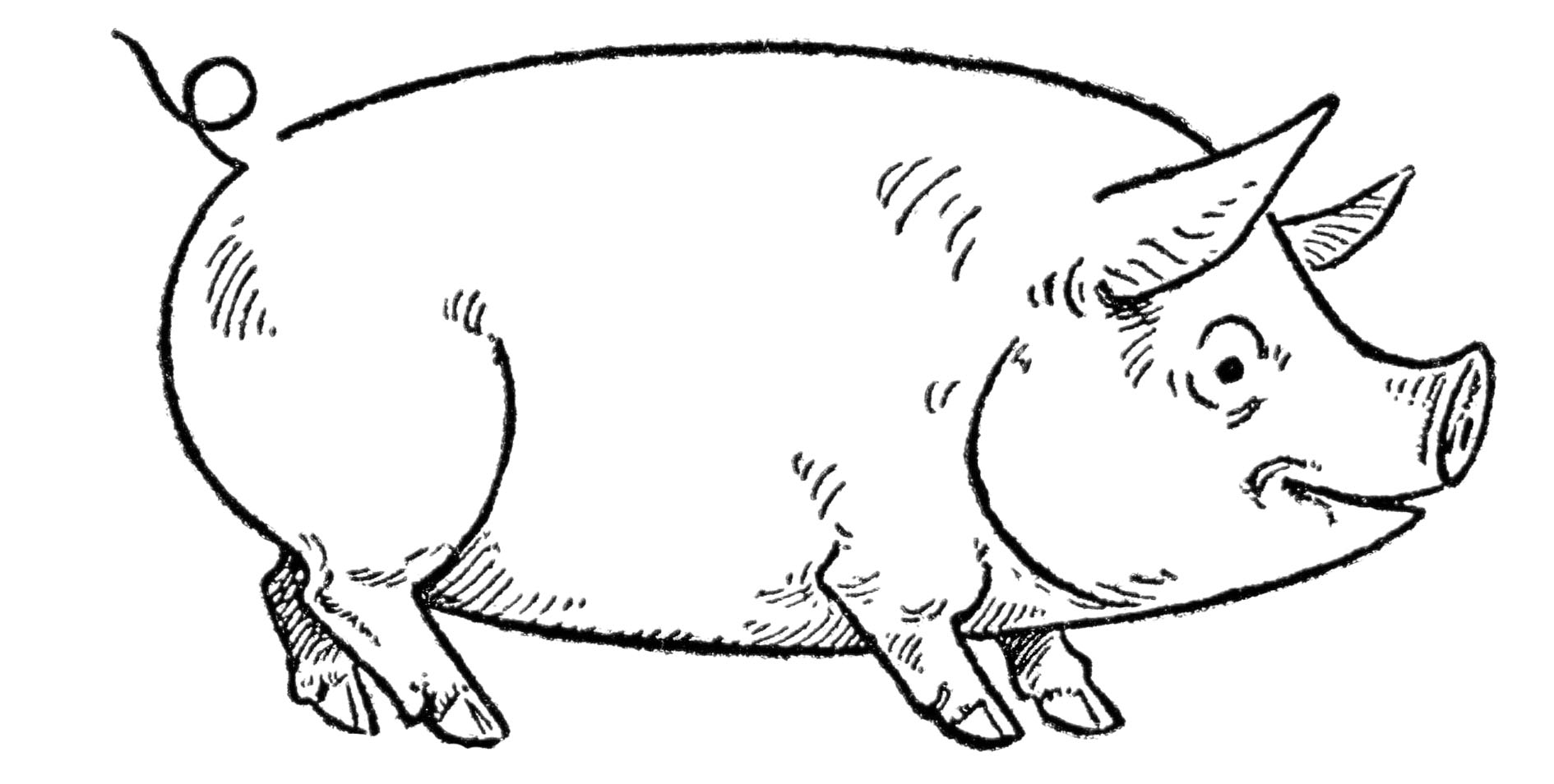 shopping center clipart black and white pig