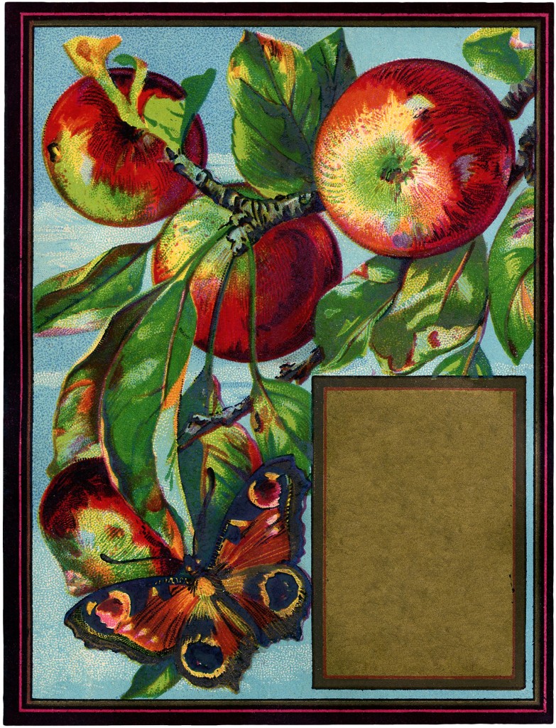 Vintage Apples with Butterfly Image