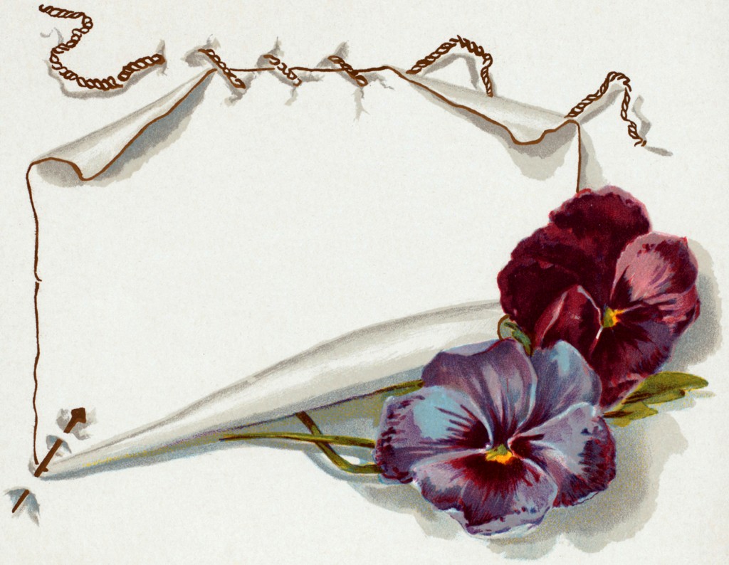 Vintage Pansy Label Image