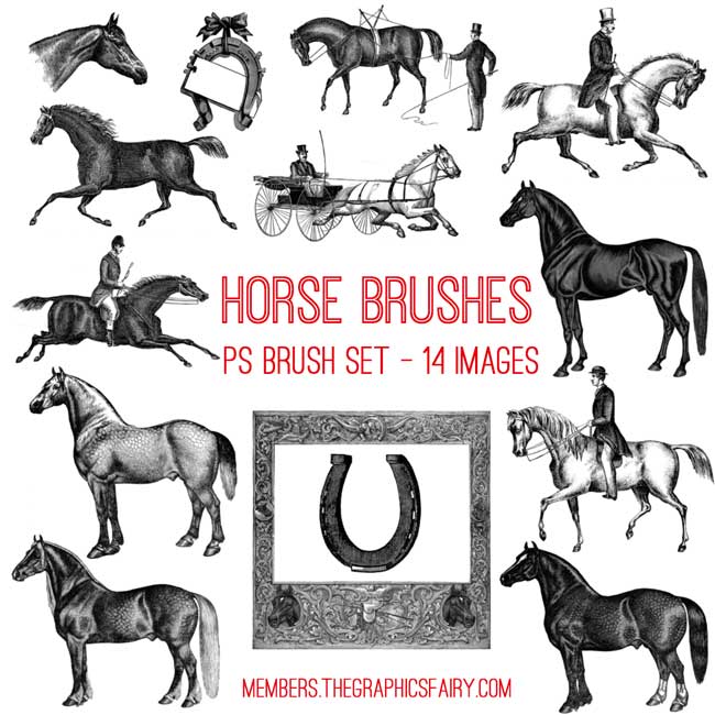 horse_brushes_graphicsfairy