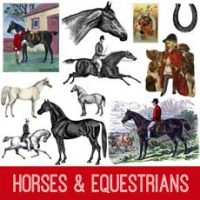 collage of horses