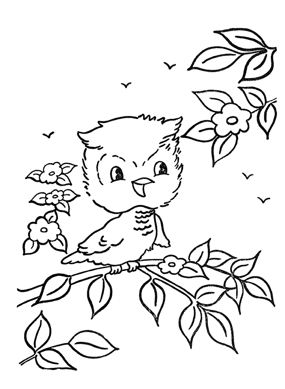 Cute Owl Coloring Page