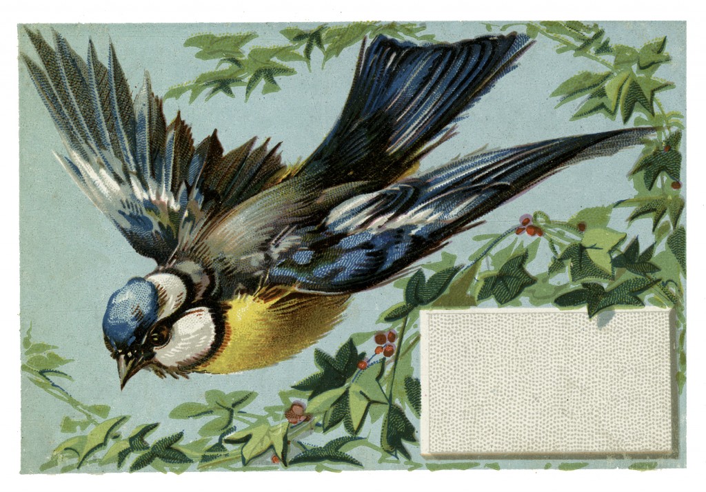 Vintage Bluebird Image