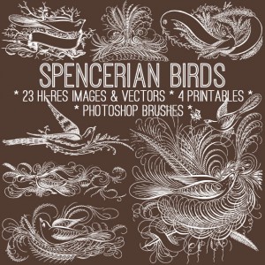 Spencerian Birds Bundle Thumbnail