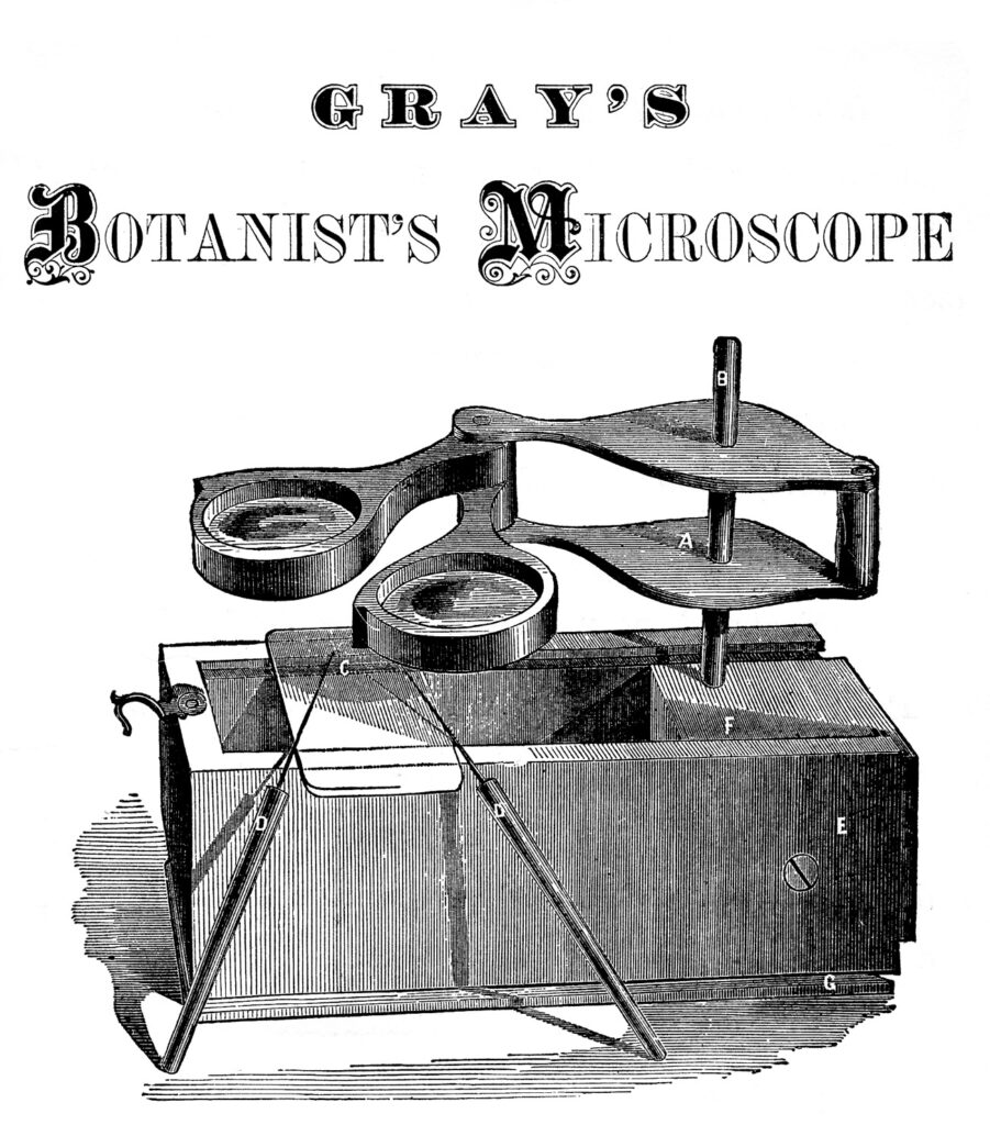 Botanists Microscope Image