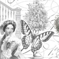 Collage with lady and butterfly