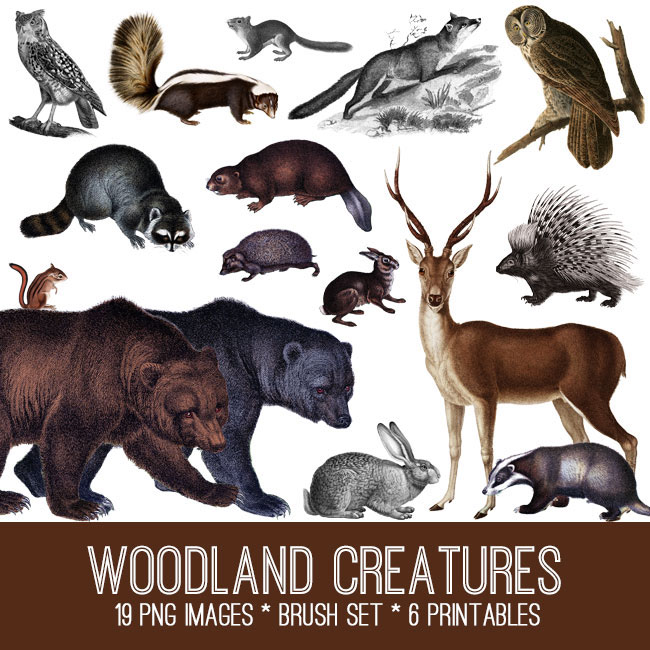 woodland creatures