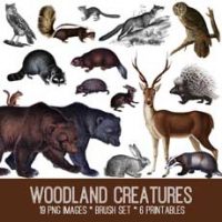 woodland animals collage