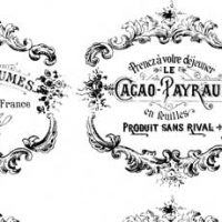 french labels with cacao ad