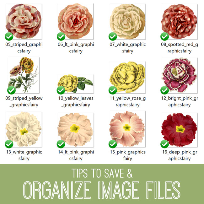 Organize image files
