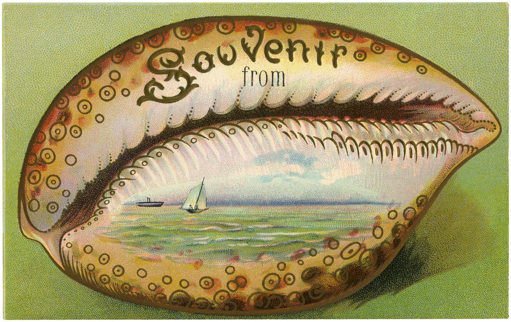 Souvenir Seashell Clipart Postcard