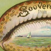 seashell souvenir with ocean scene image