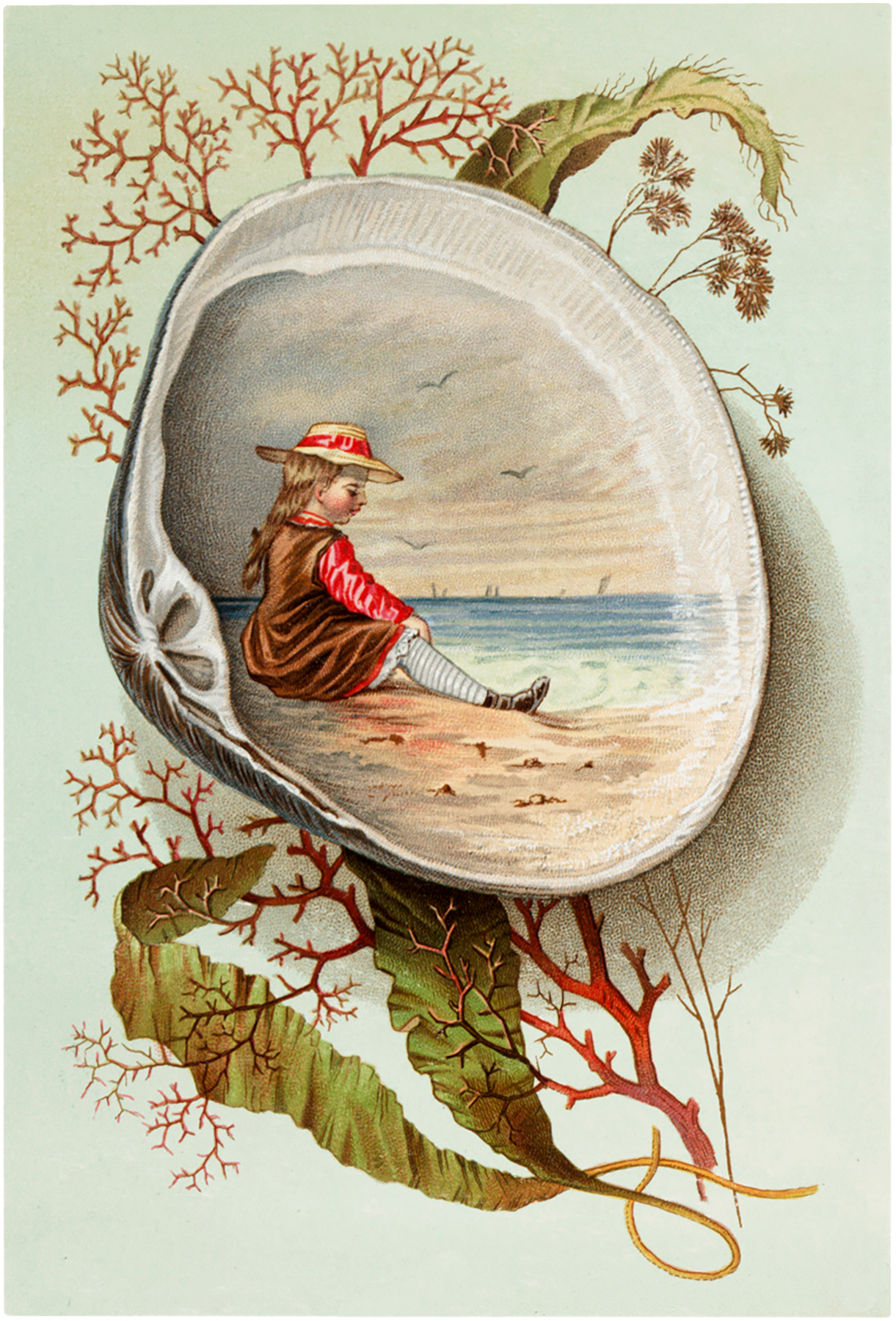 Marvelous Vintage Clam Shell Scene Image The Graphics Fairy