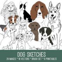dog sketches collage