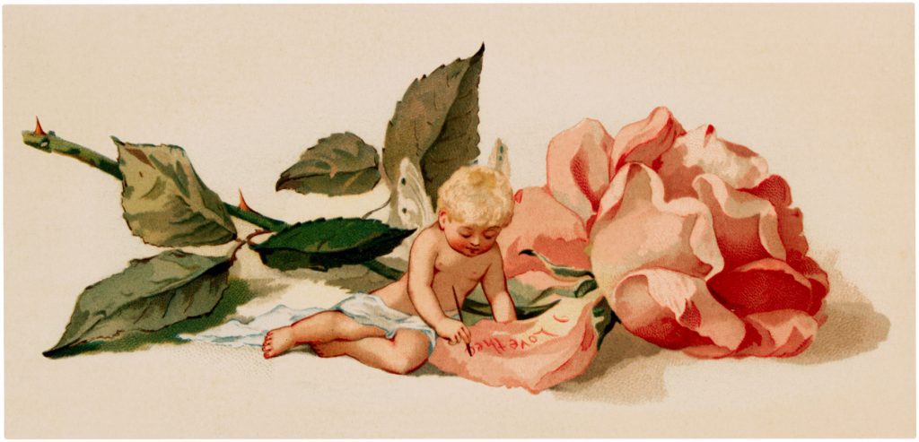 Vintage Rose Fairy Baby Image