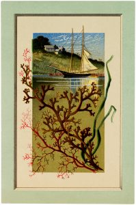 Free Vintage Sailboat with Seaweed Image - The Graphics Fairy