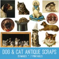 Dogs and Cats Scraps collage