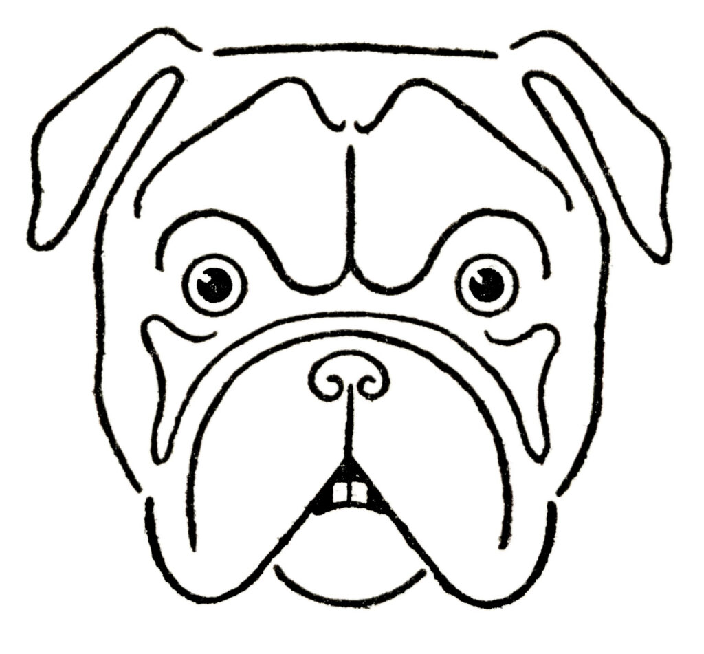 Dog Drawing (Bulldog, Pug, Dachshund) - The Graphics Fairy