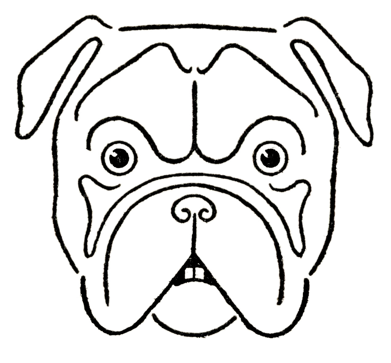 How to Draw a Bulldog Step 7
