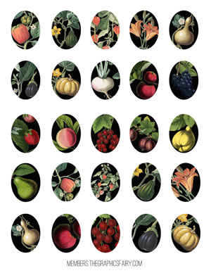 collage_sheet_ovals_fruit_veg_graphicsfairy