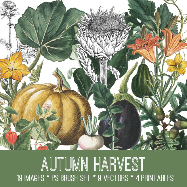 Autumn Harvest Image Kit