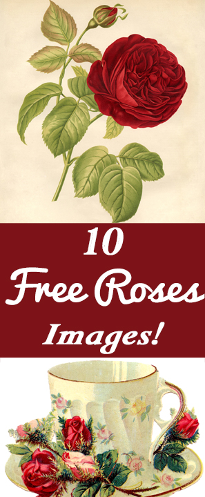 10 Free Vintage Roses Images