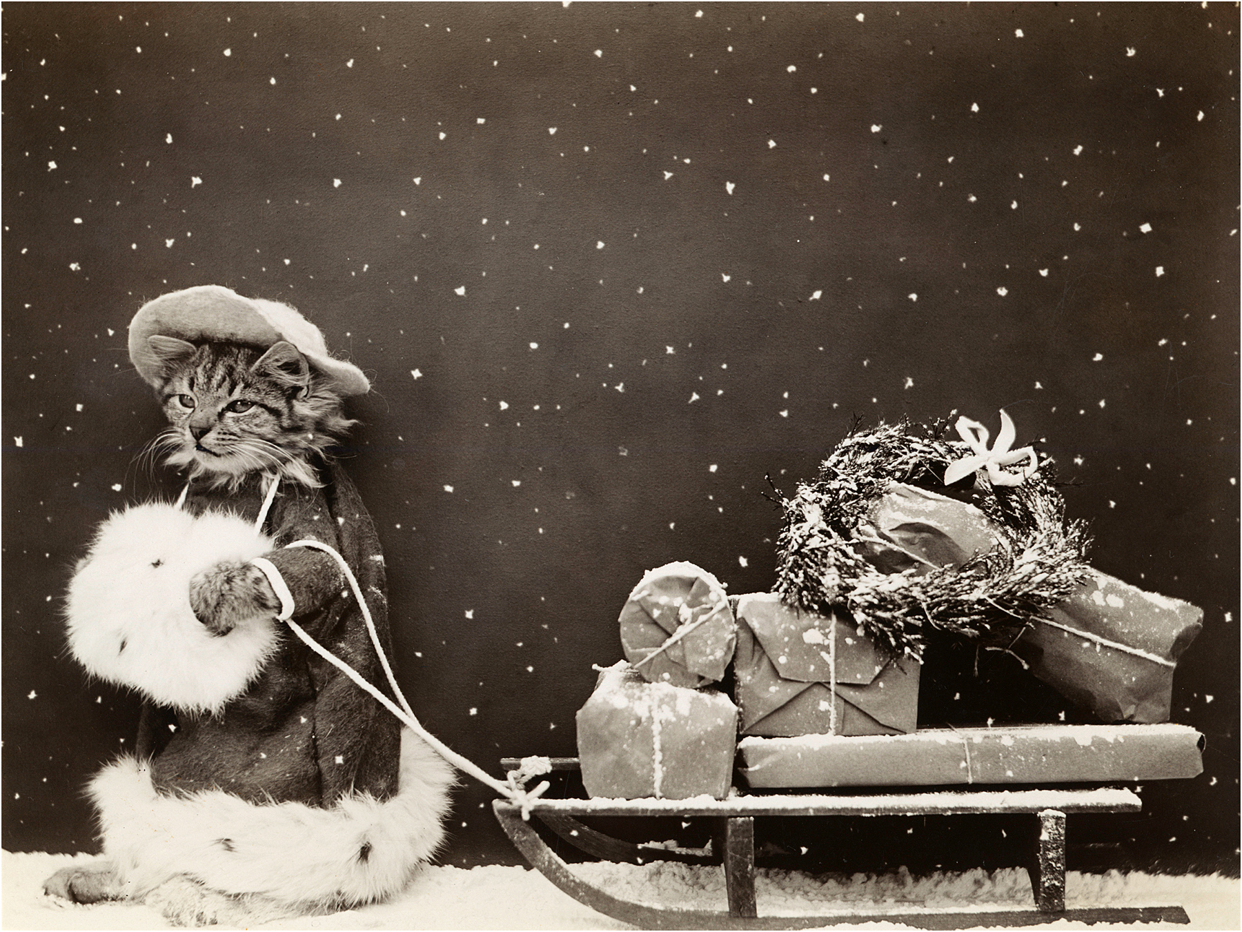 Vintage hotsell cat christmas