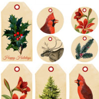 Holiday printable gift tags with holly and cardinals