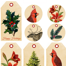 Holiday printable gift tags with holly and cardinals
